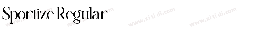 Sportize Regular字体转换